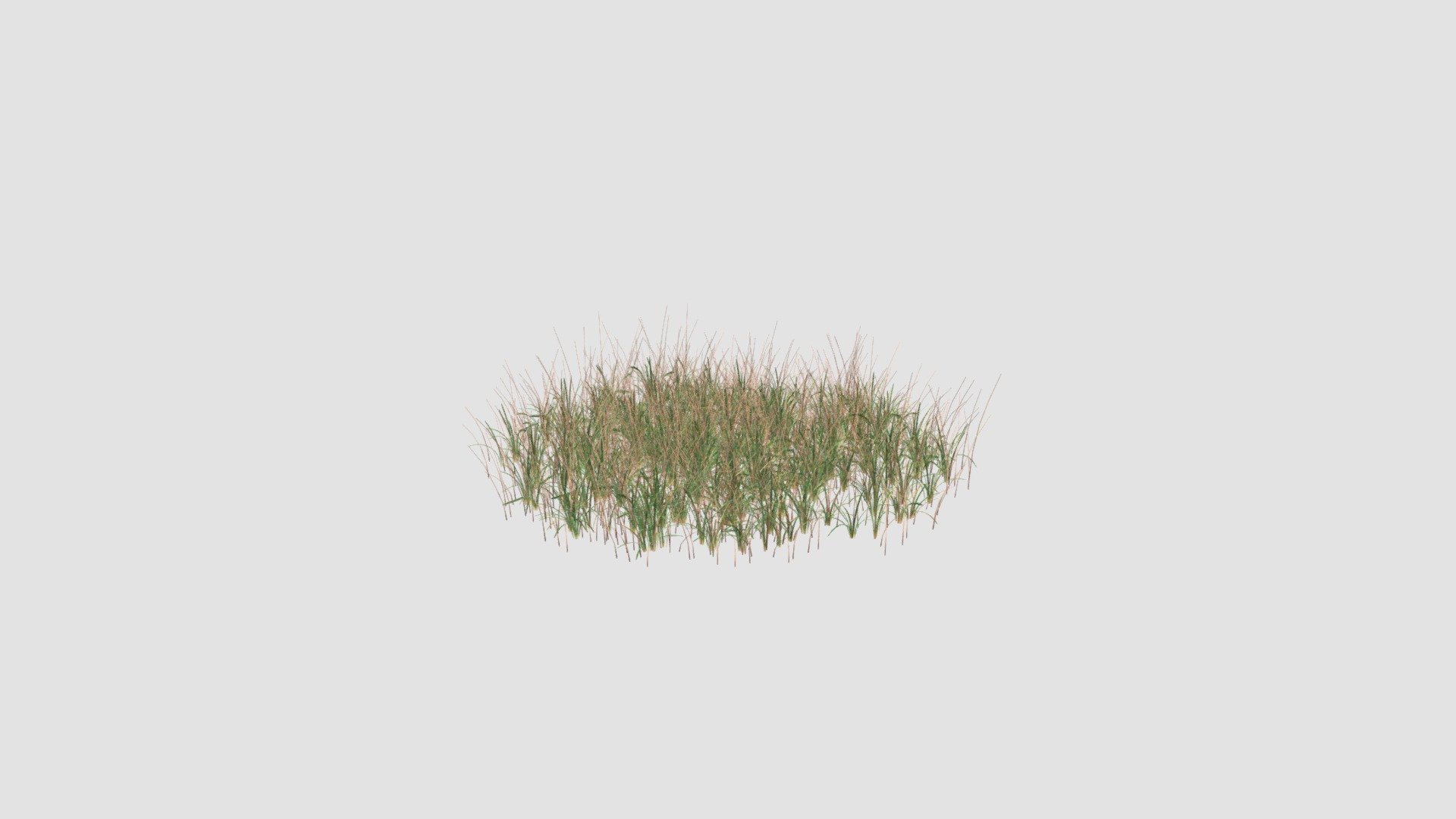 simple grass large 3d model