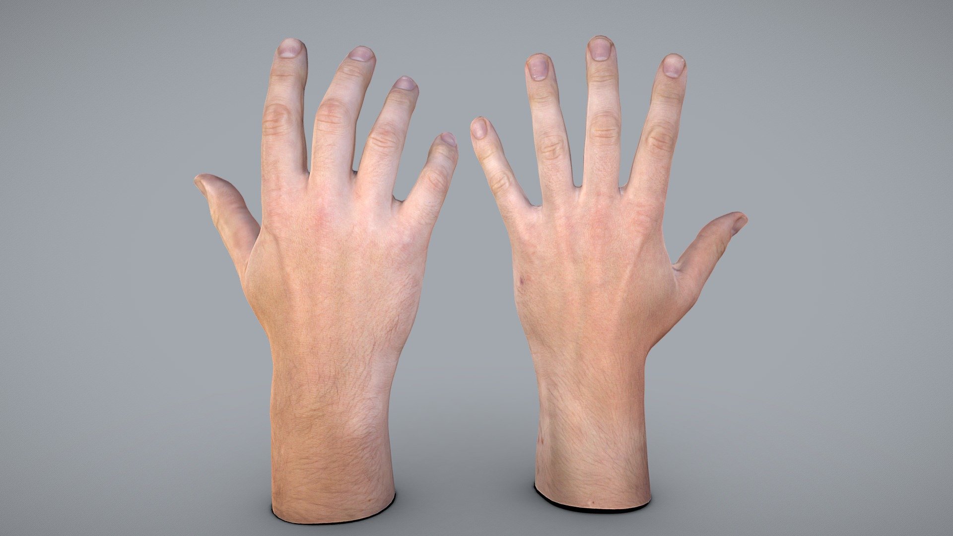 Male hands 3d model