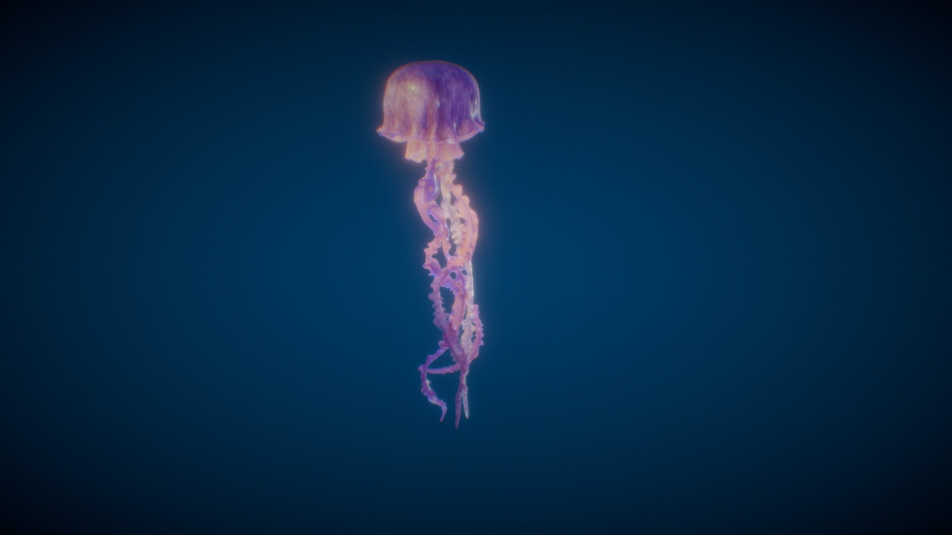 Jellyfish 3d model