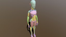 Cartoon Anatomy Mannequin