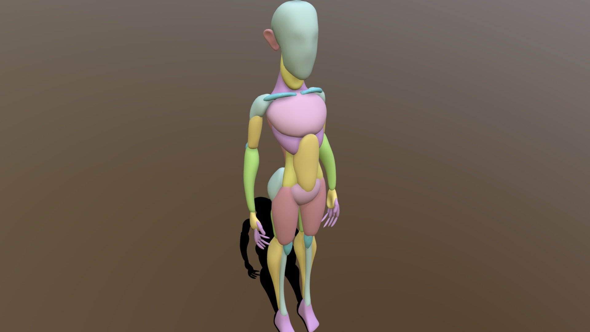 Cartoon Anatomy Mannequin 3d model