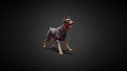 Dobermann