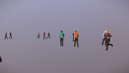 Crowd test