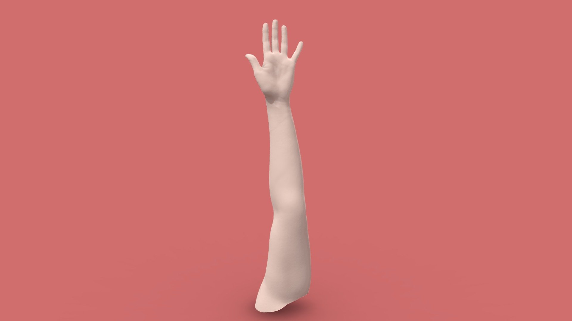 Womans Arm (No Texture) 3d model