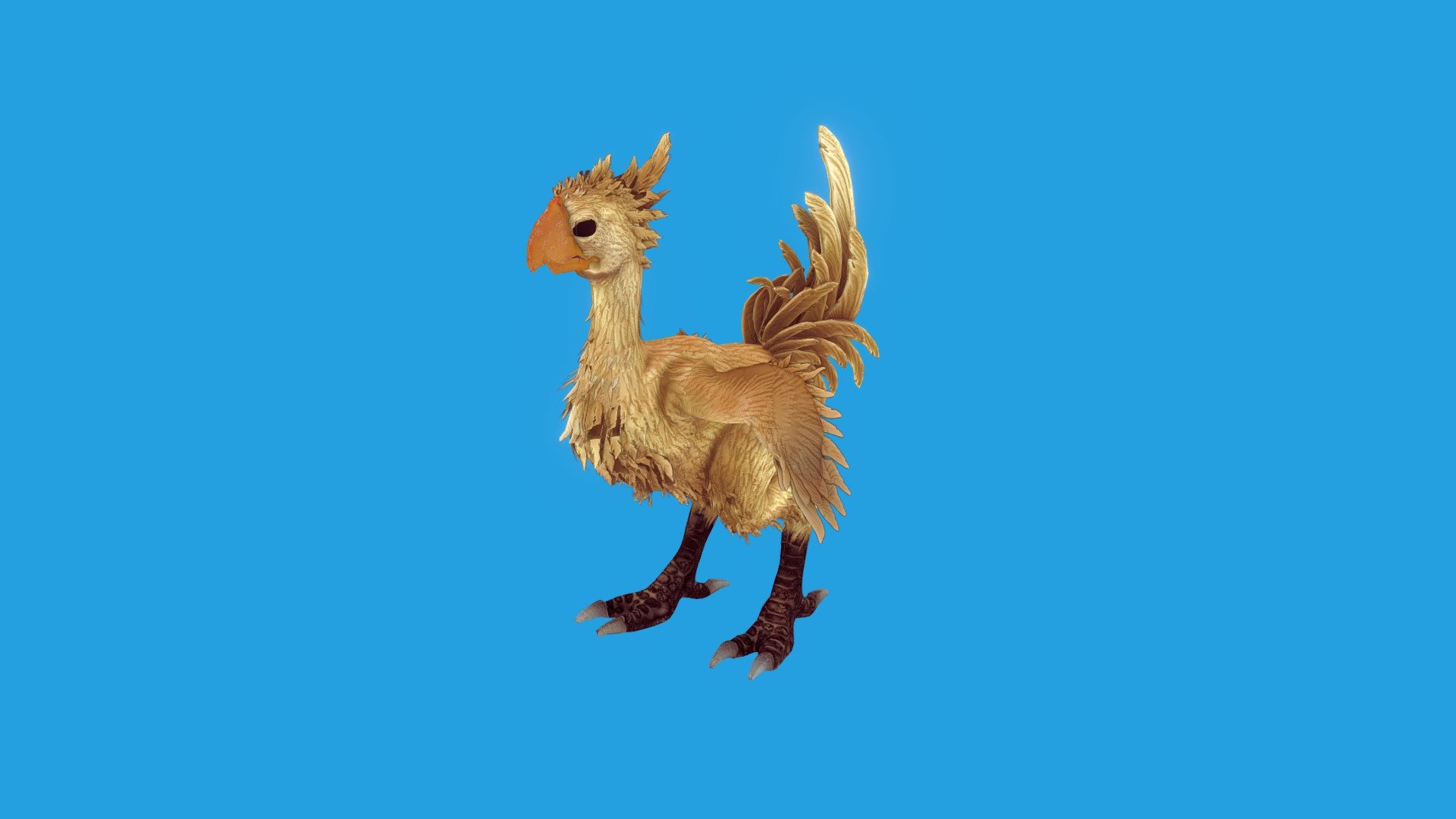 Chocobo Animated! 3d model