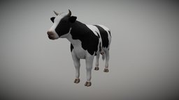 COW Animated