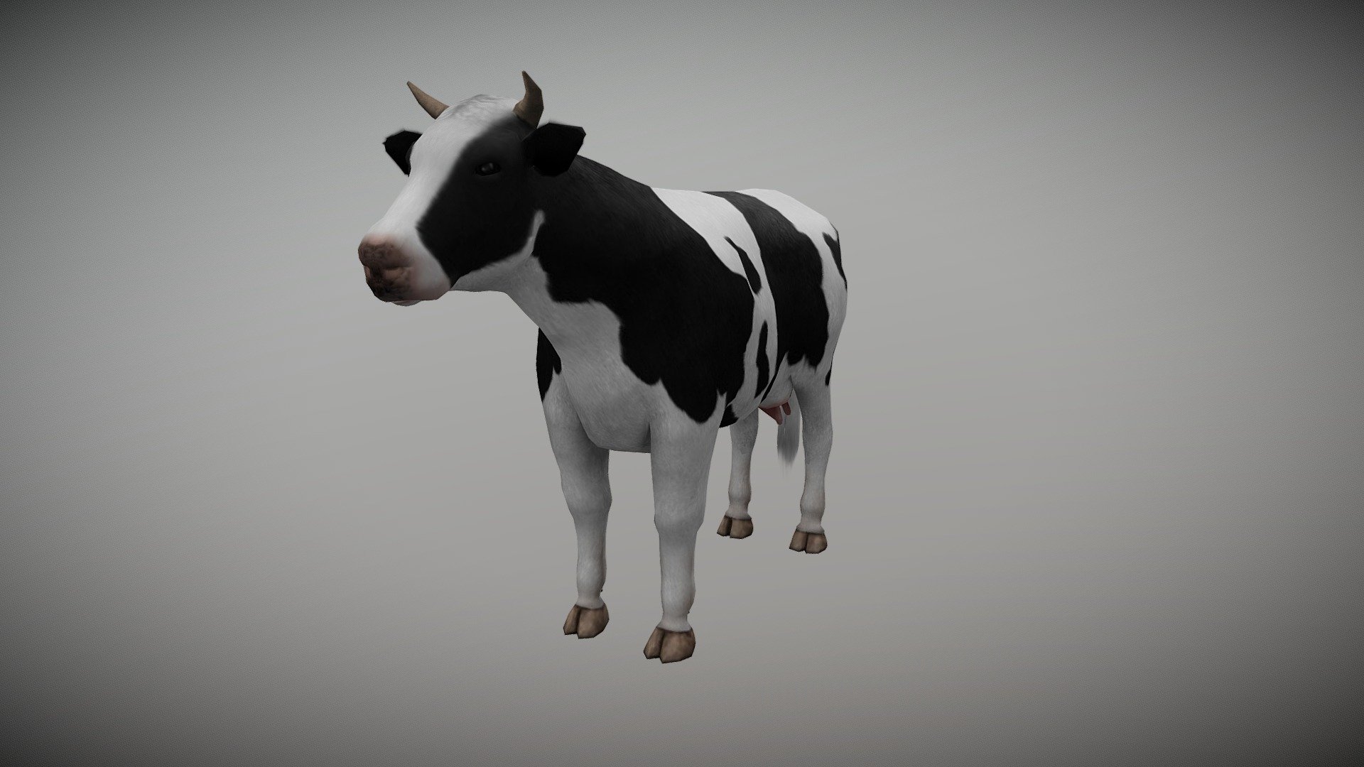 COW Animated 3d model