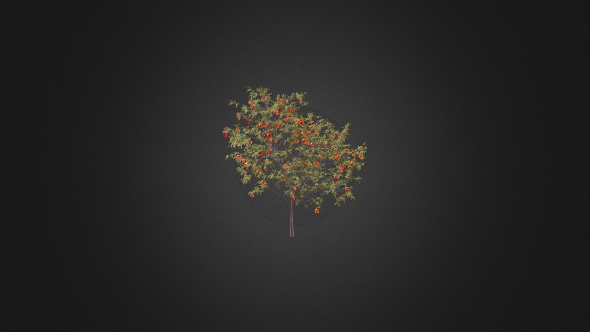 Peach Tree with Fruits 3D Model 3m 3d model