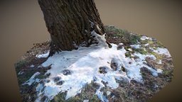 [3D-Scan] "Tree Stub"