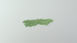 Grass