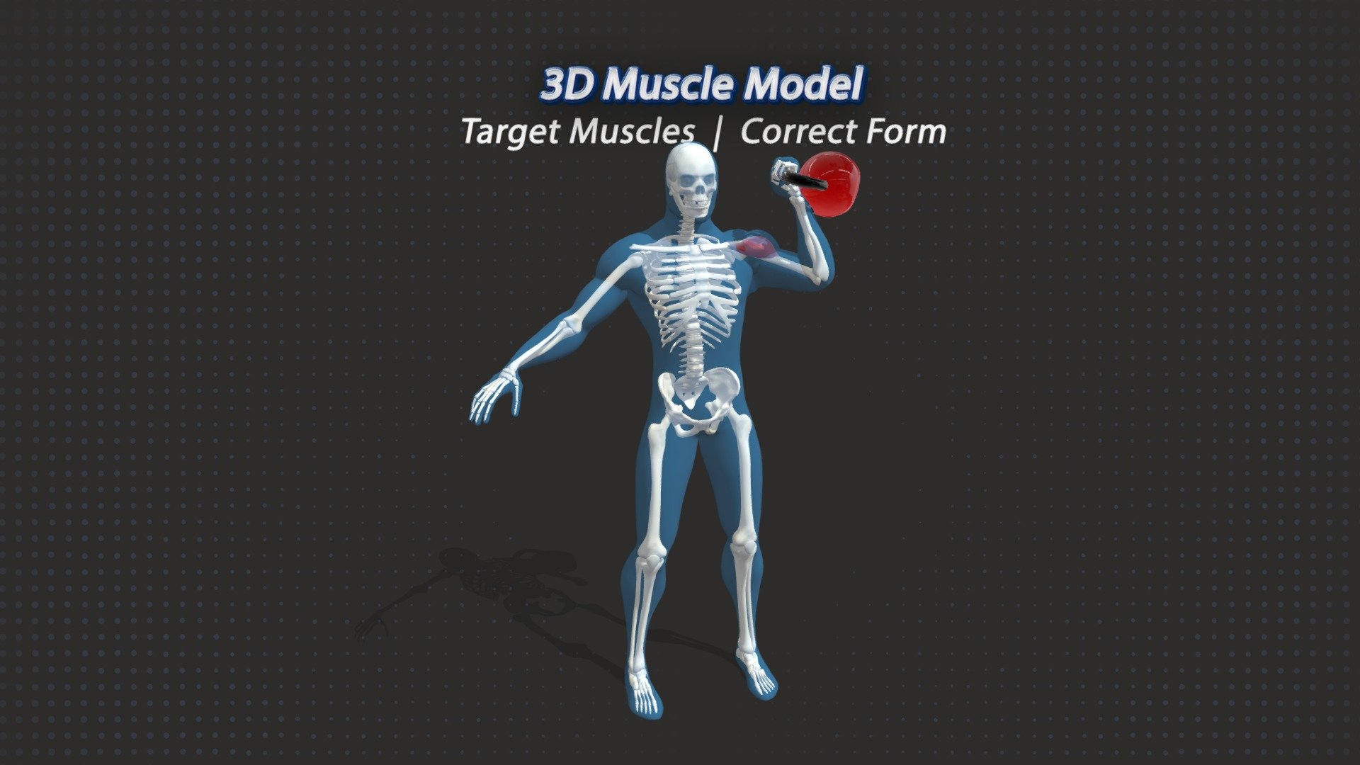 45. Single Arm Kettlebell Press 3d model