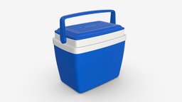 Cooler box with handle