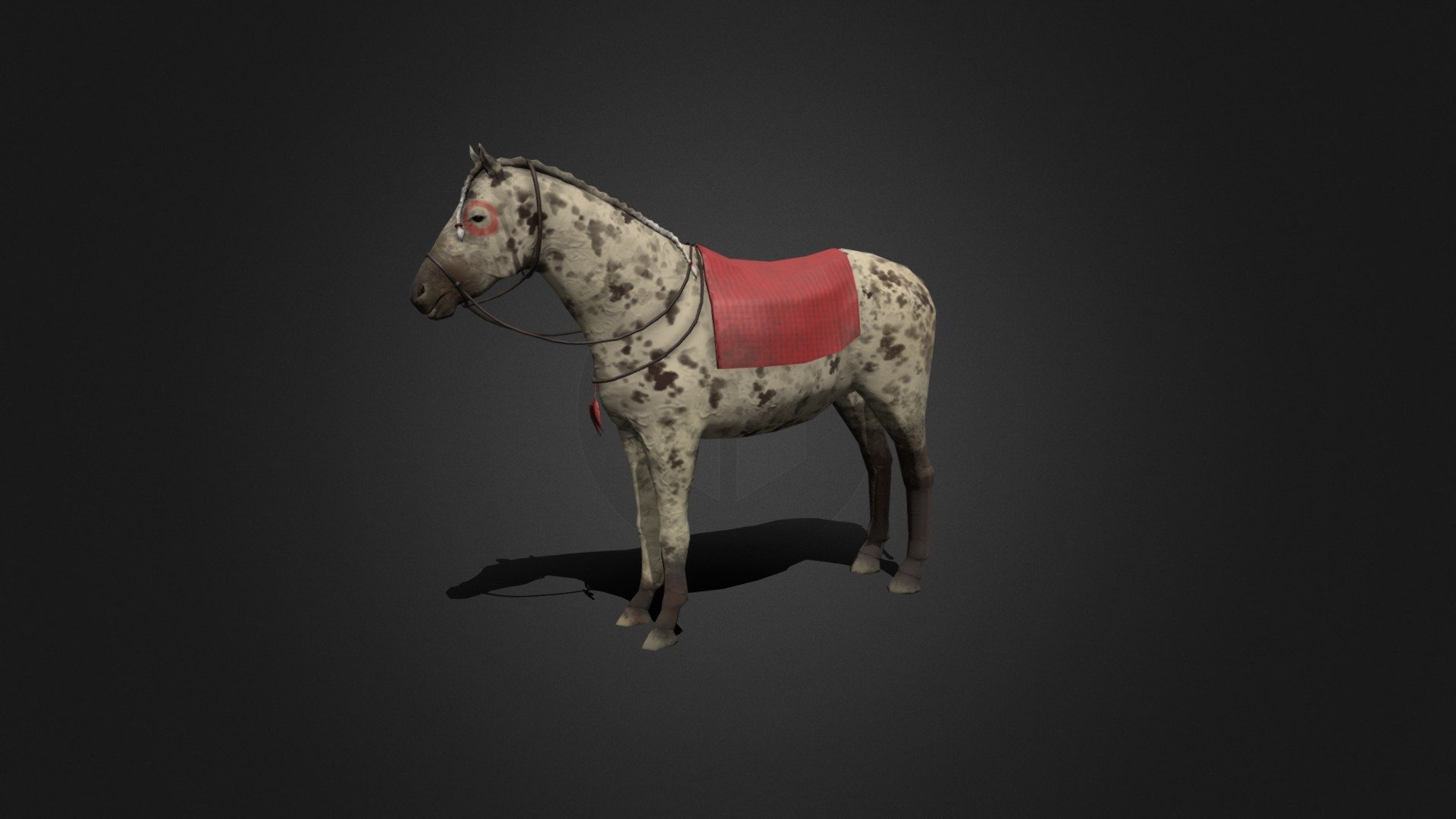 Appaloosa leopard horse 3d model