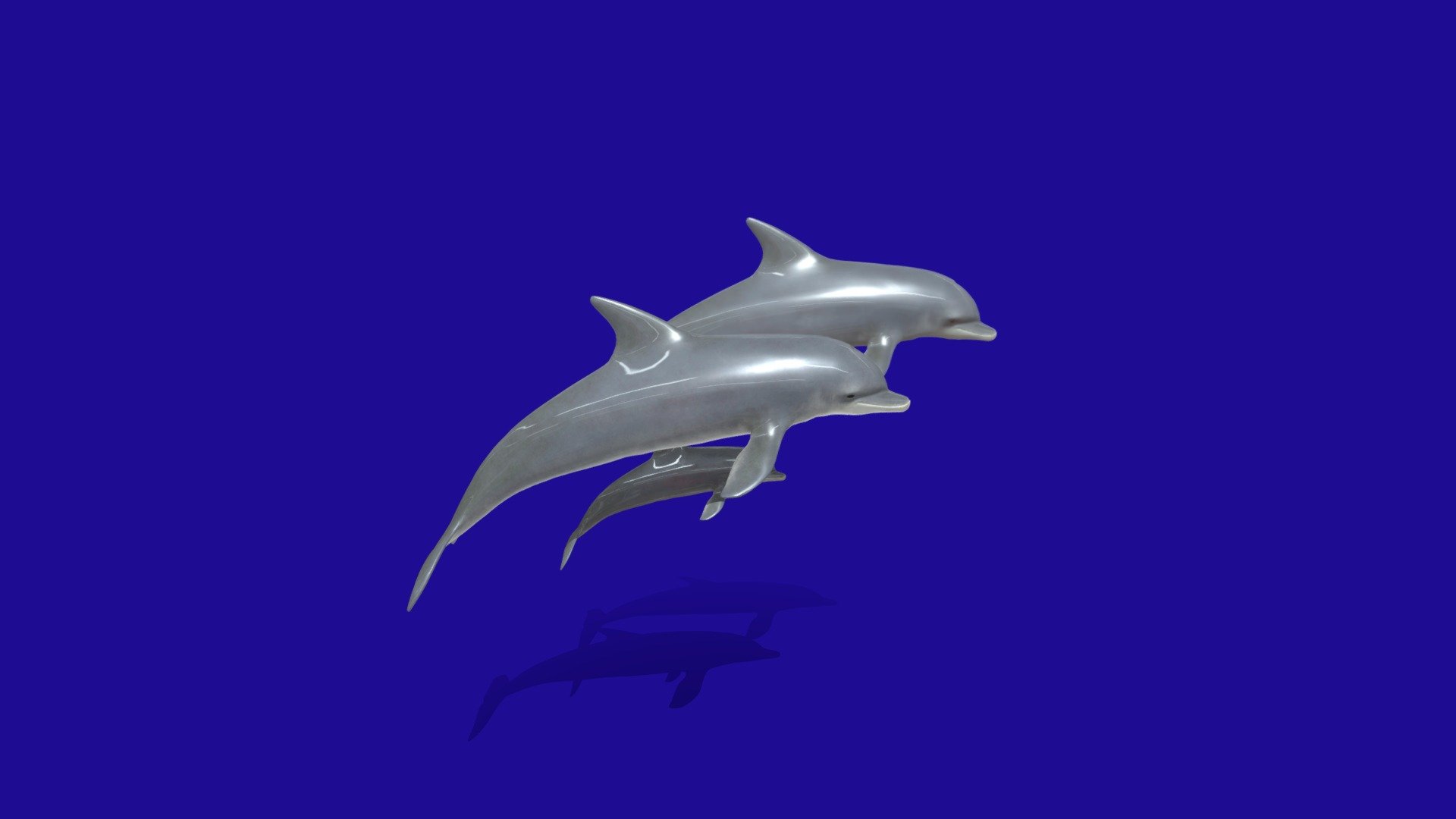 The Dolphin Family 3d model