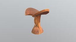 Ethiopian stool