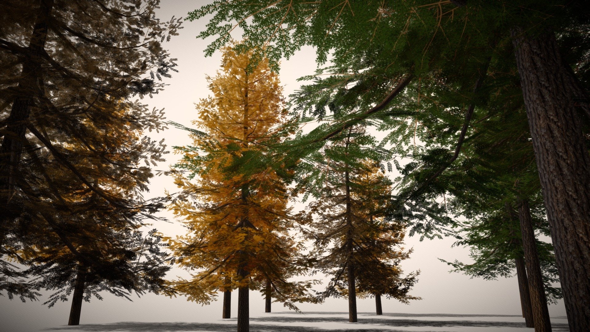 Pine Trees Low-Mid Poly 3d model