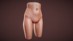 woman pelvis study