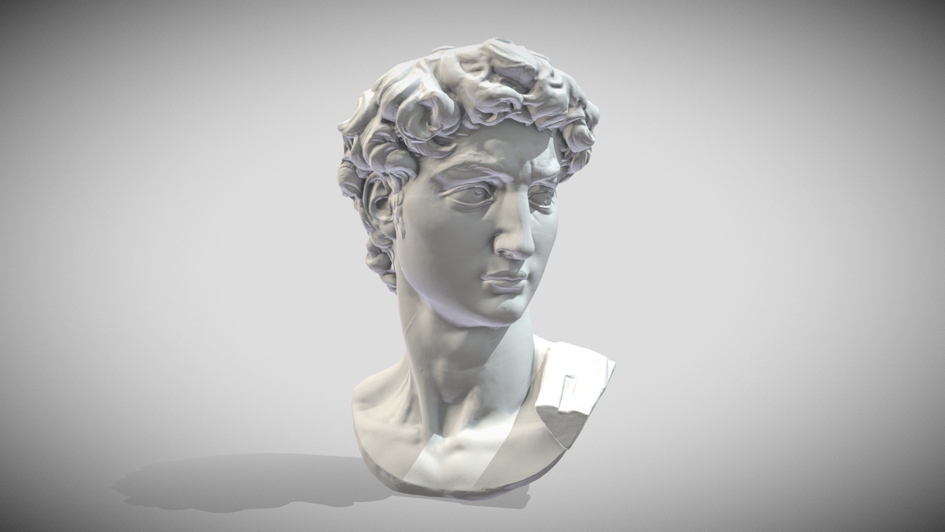 Head of Michelangelos David 3d model