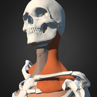 My Sketchfab Mesh