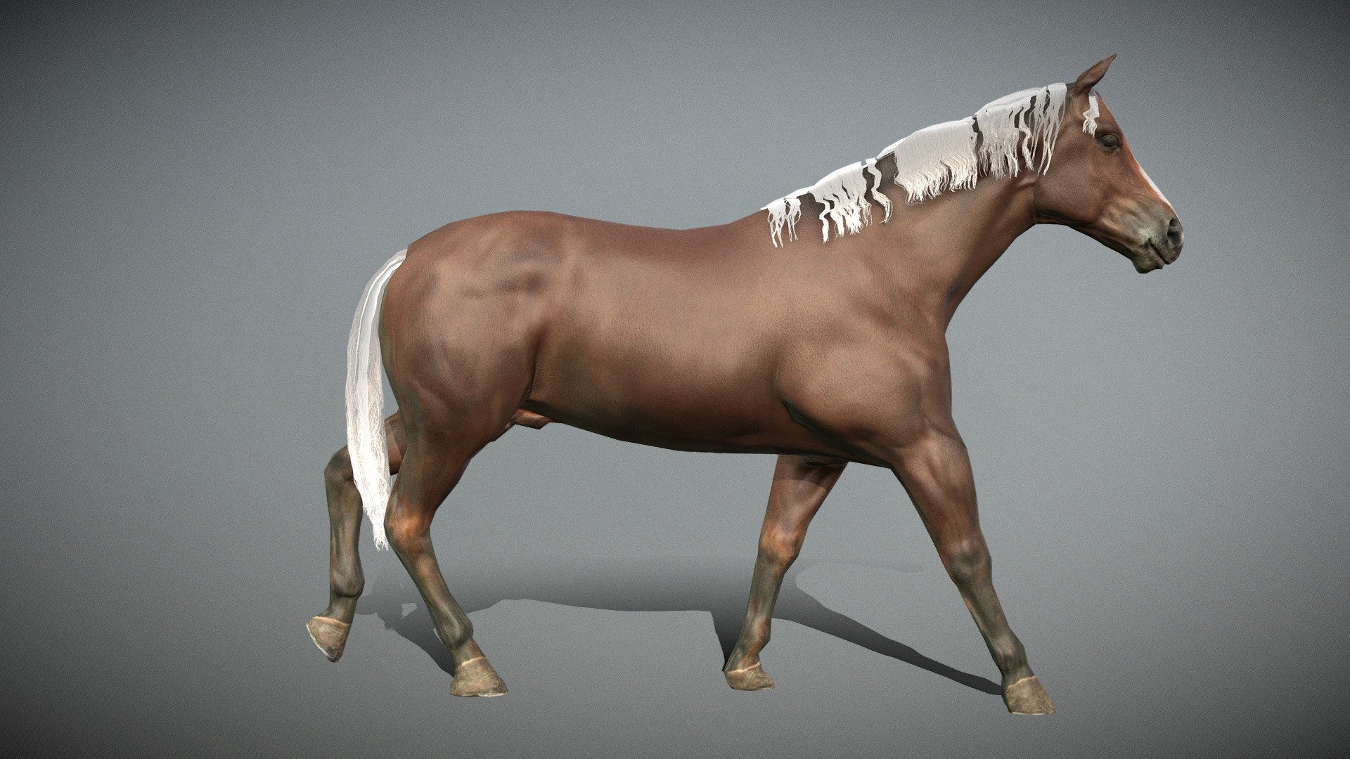 Horse Walk 3d model