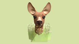 Deer in a field