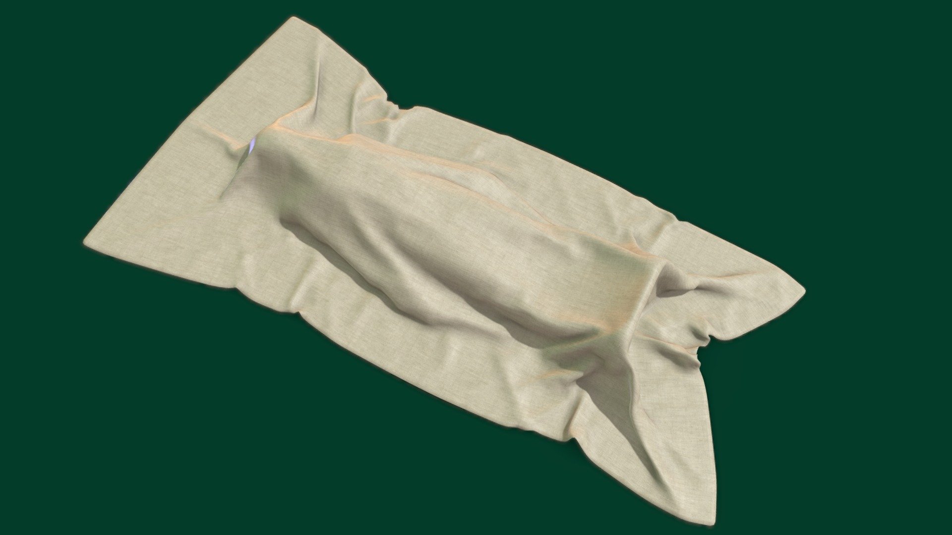 Cloth On Corpse 3d model