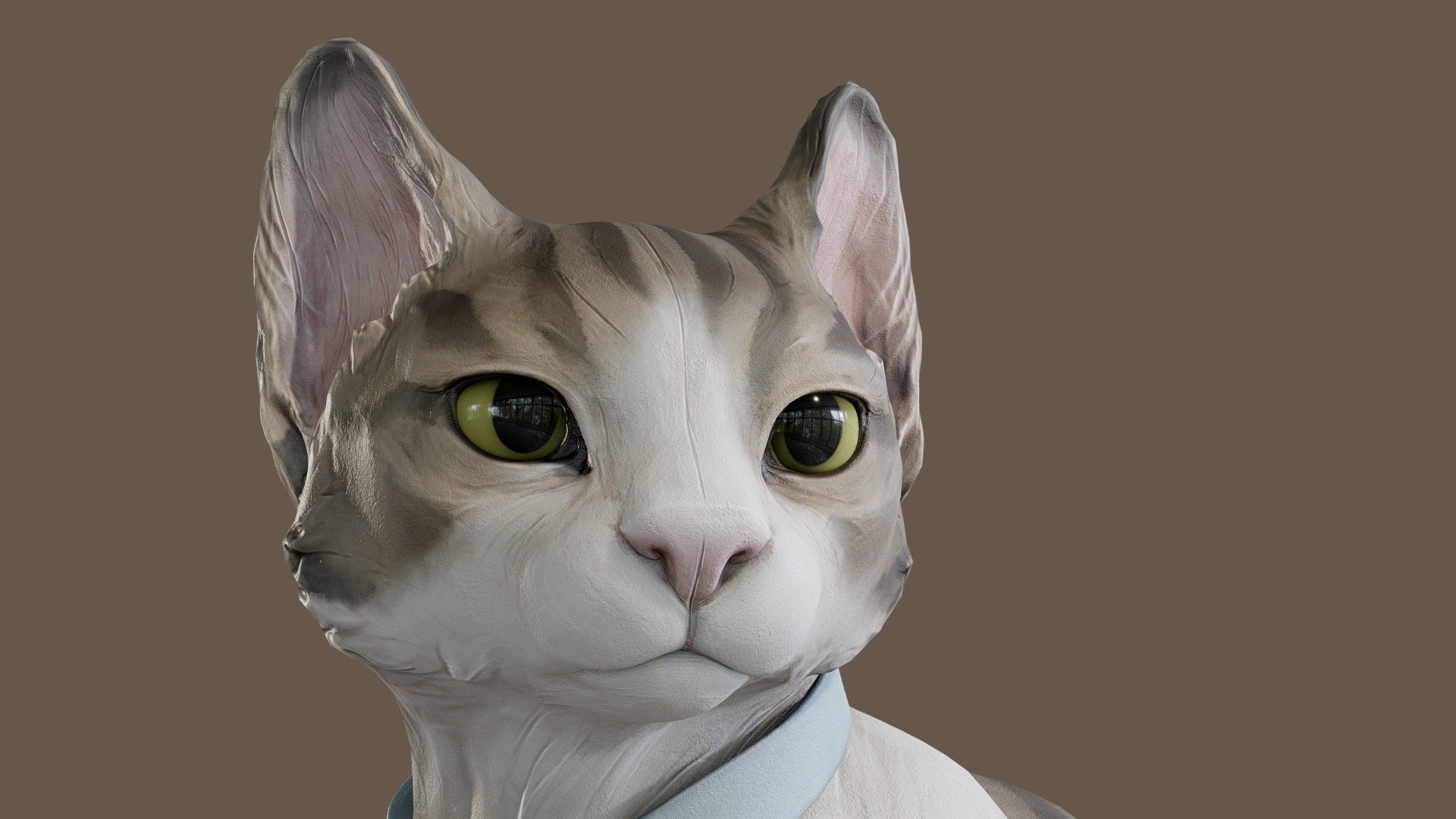 cat 3d model