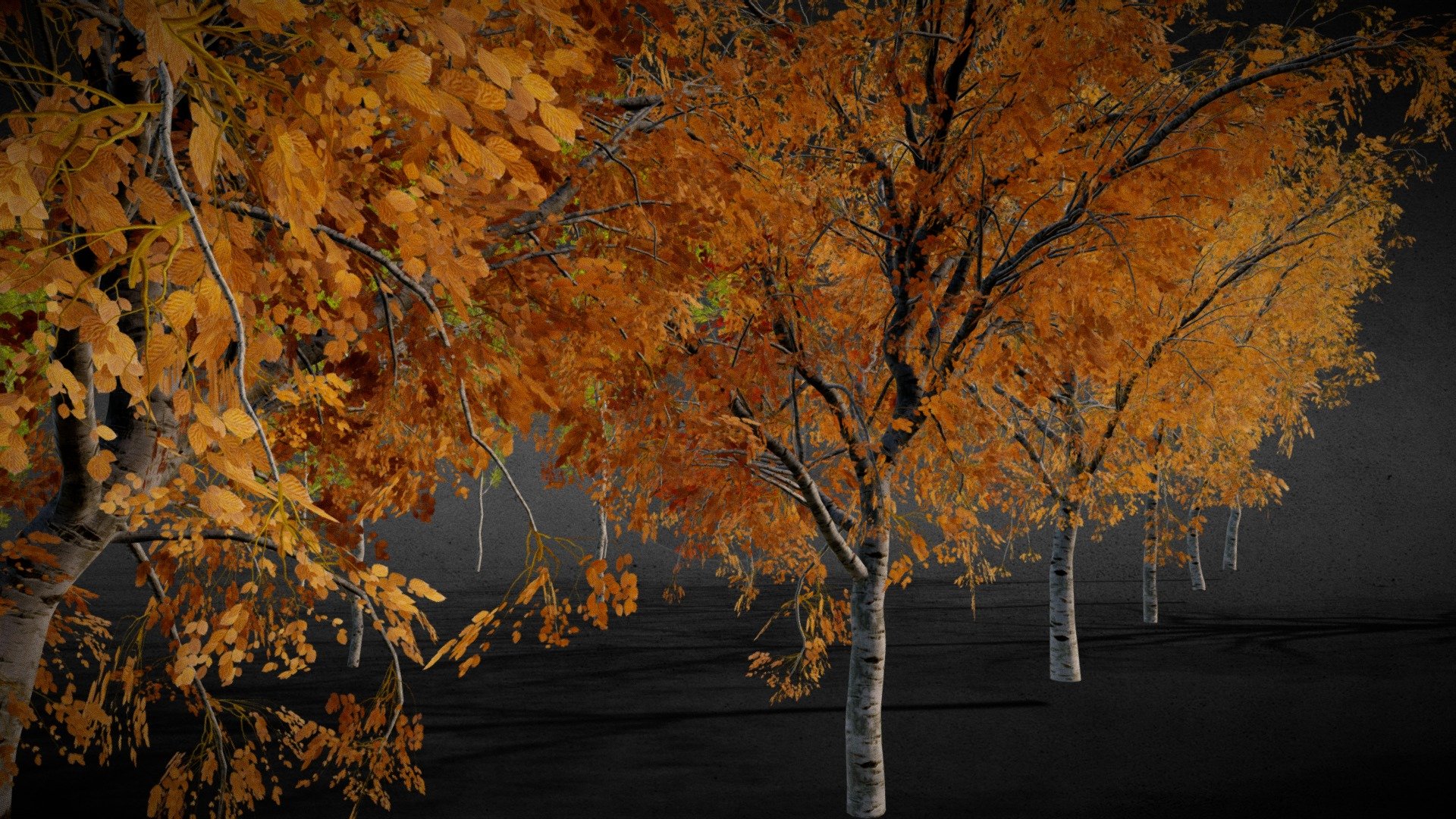 Mid/Low Poly Autumn Trees Collection 3d model