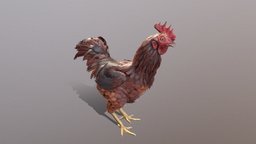 Chicken Animated