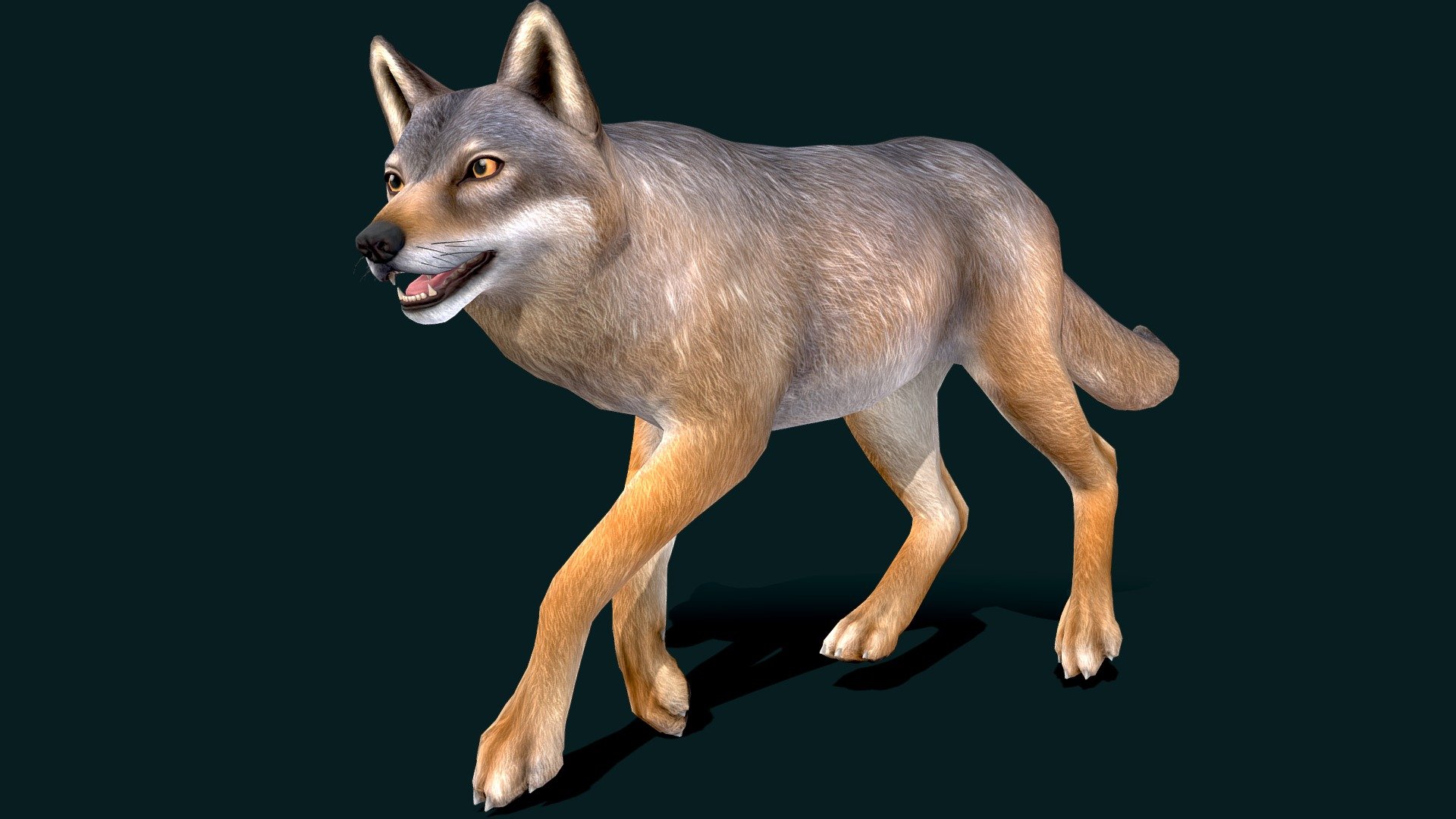 Wolf texture 3d model