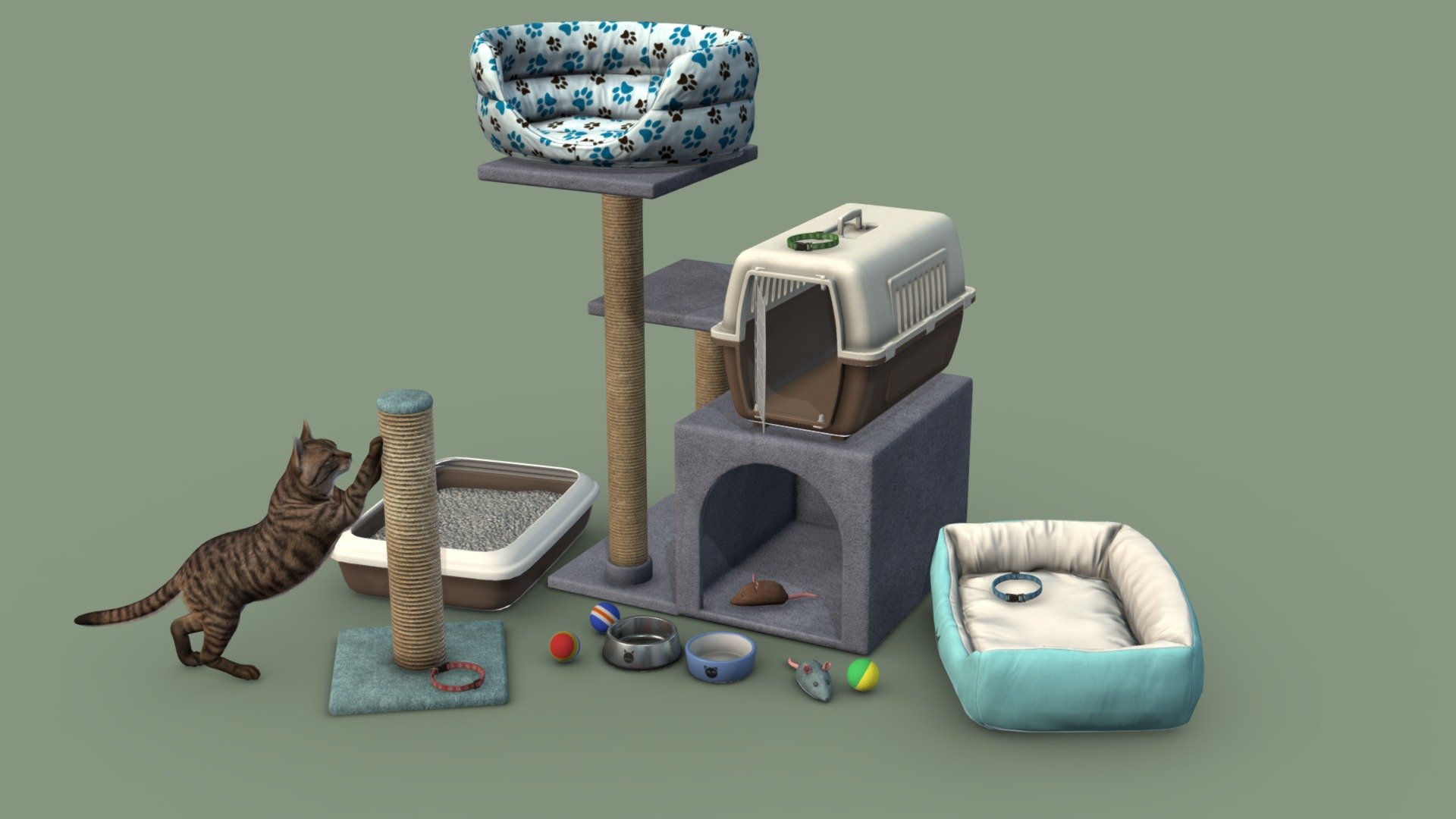 Accessories for Cat 3d model