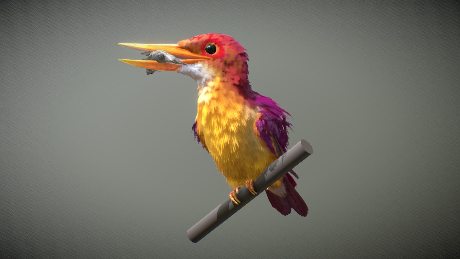 Ruddy Kingfisher 3d model