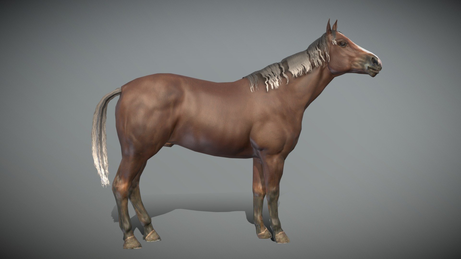 Horse Idle Animated 3d model