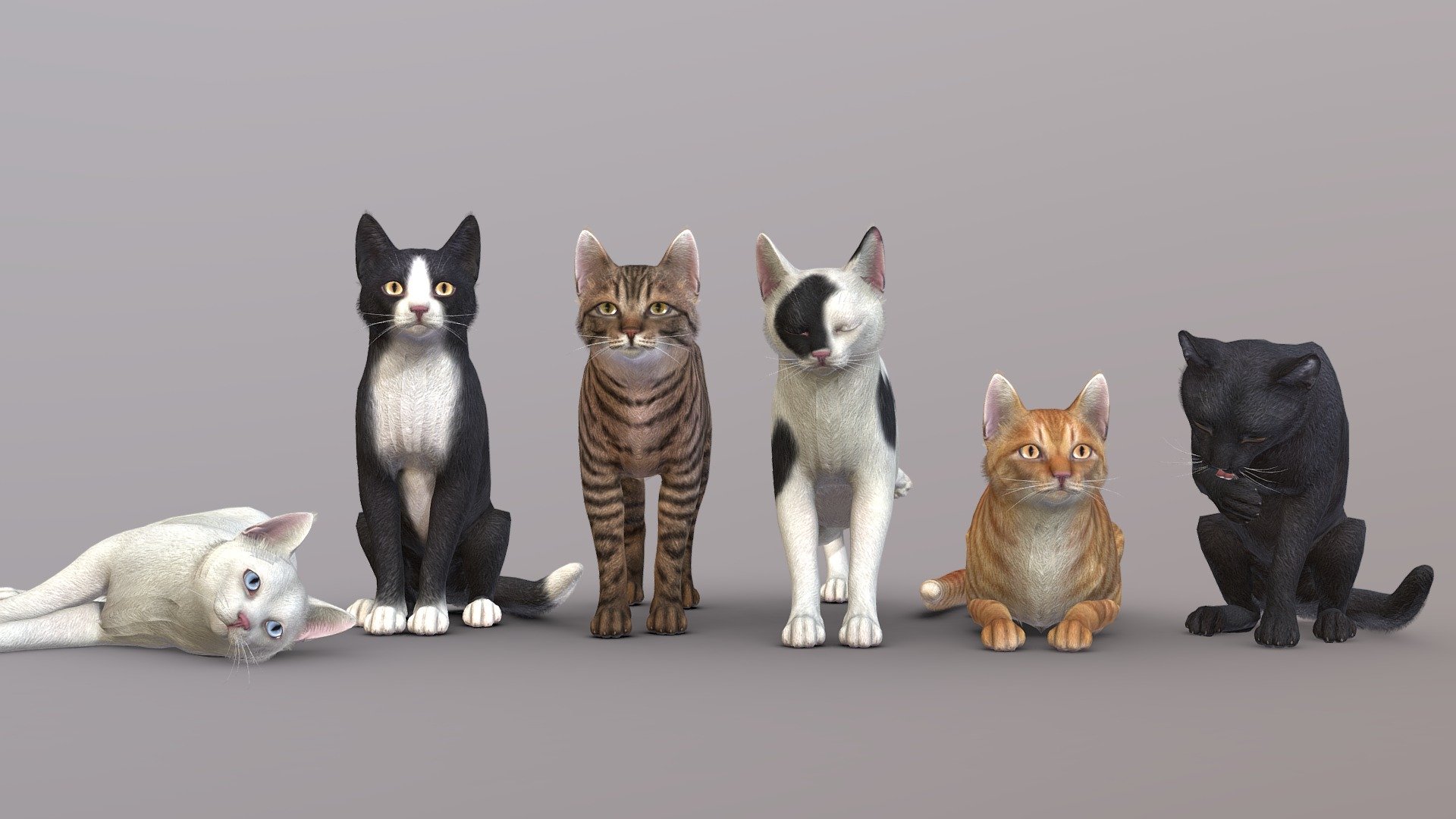 Simple Cats 3d model