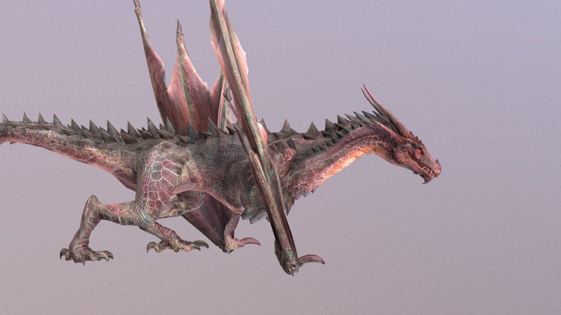 Dragon Animated 3d model