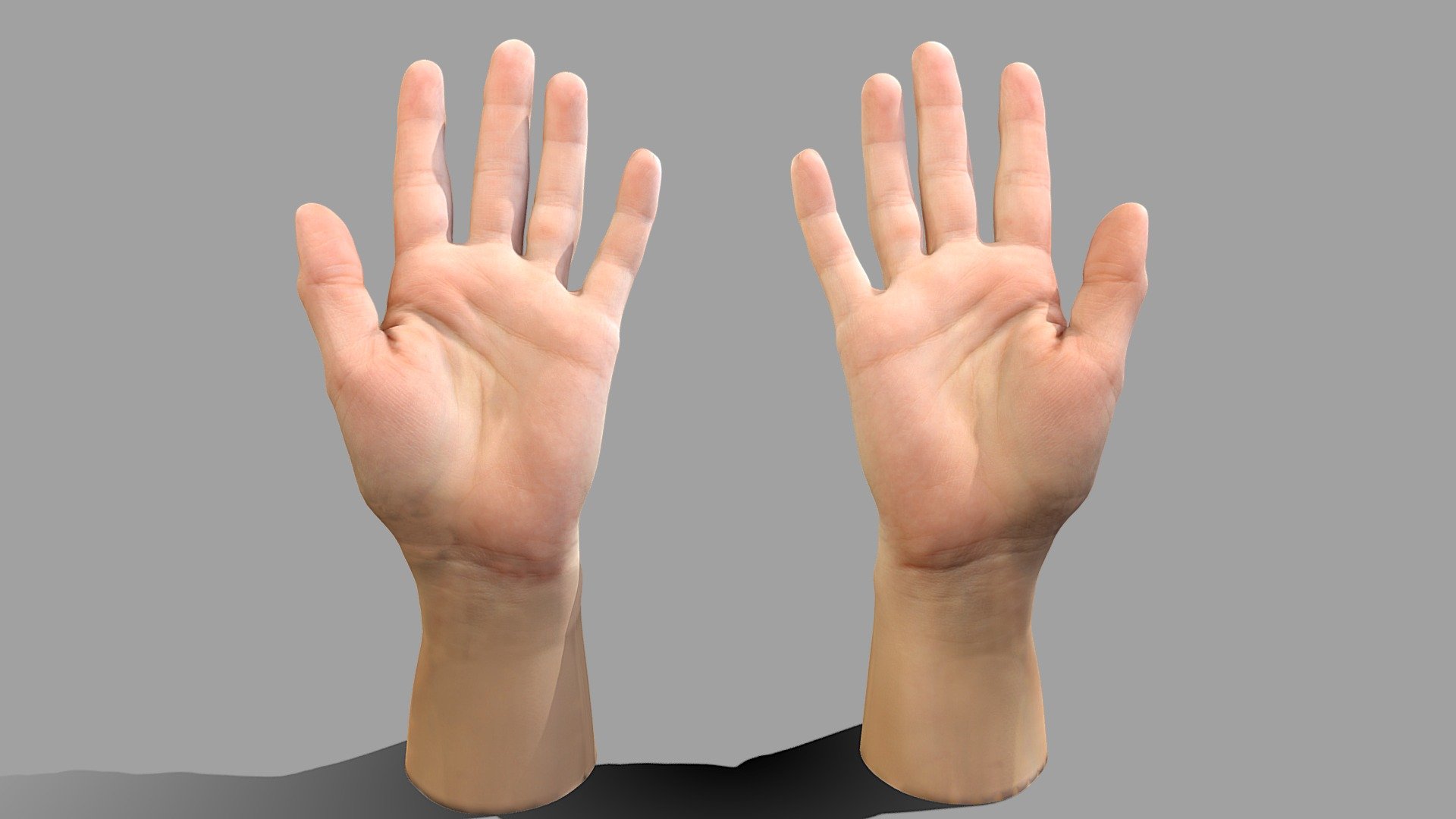 Female hands open 3d model