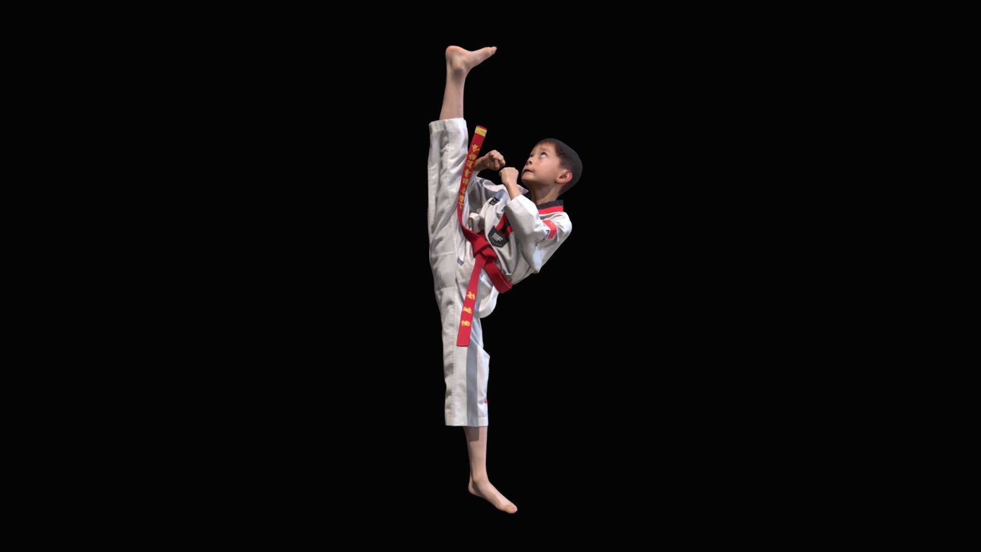 taekwondo 3d model