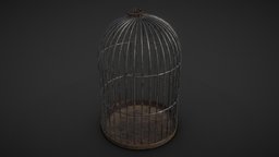 Round Rat Cage