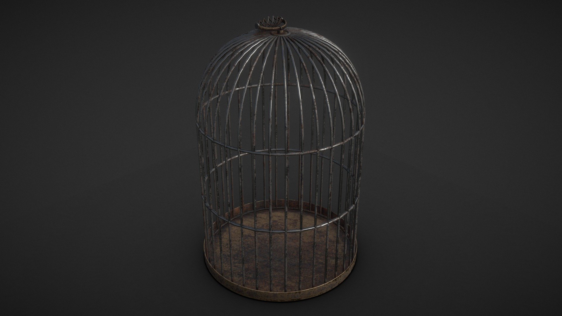 Round Rat Cage 3d model