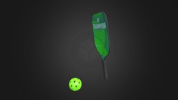 Pickleball Paddle & Ball