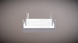 Boxing ring