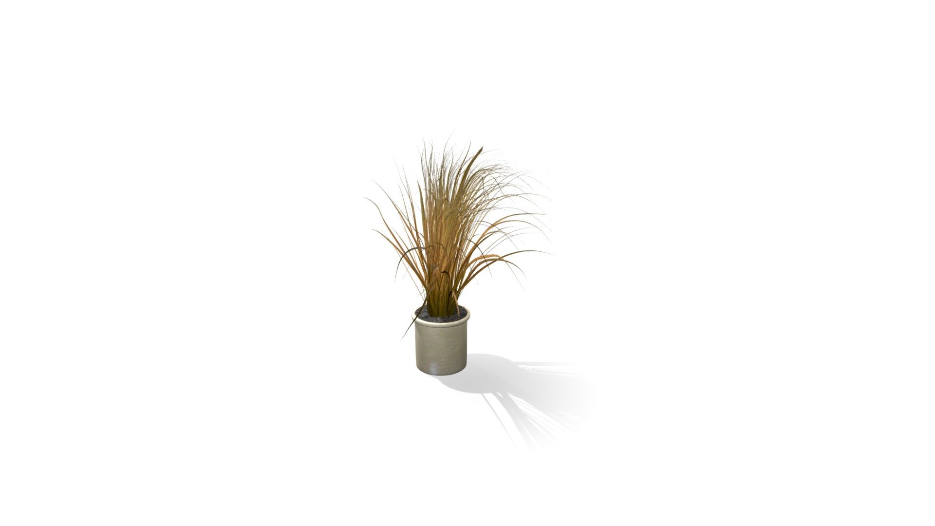 wind grass-red yellow 3d model