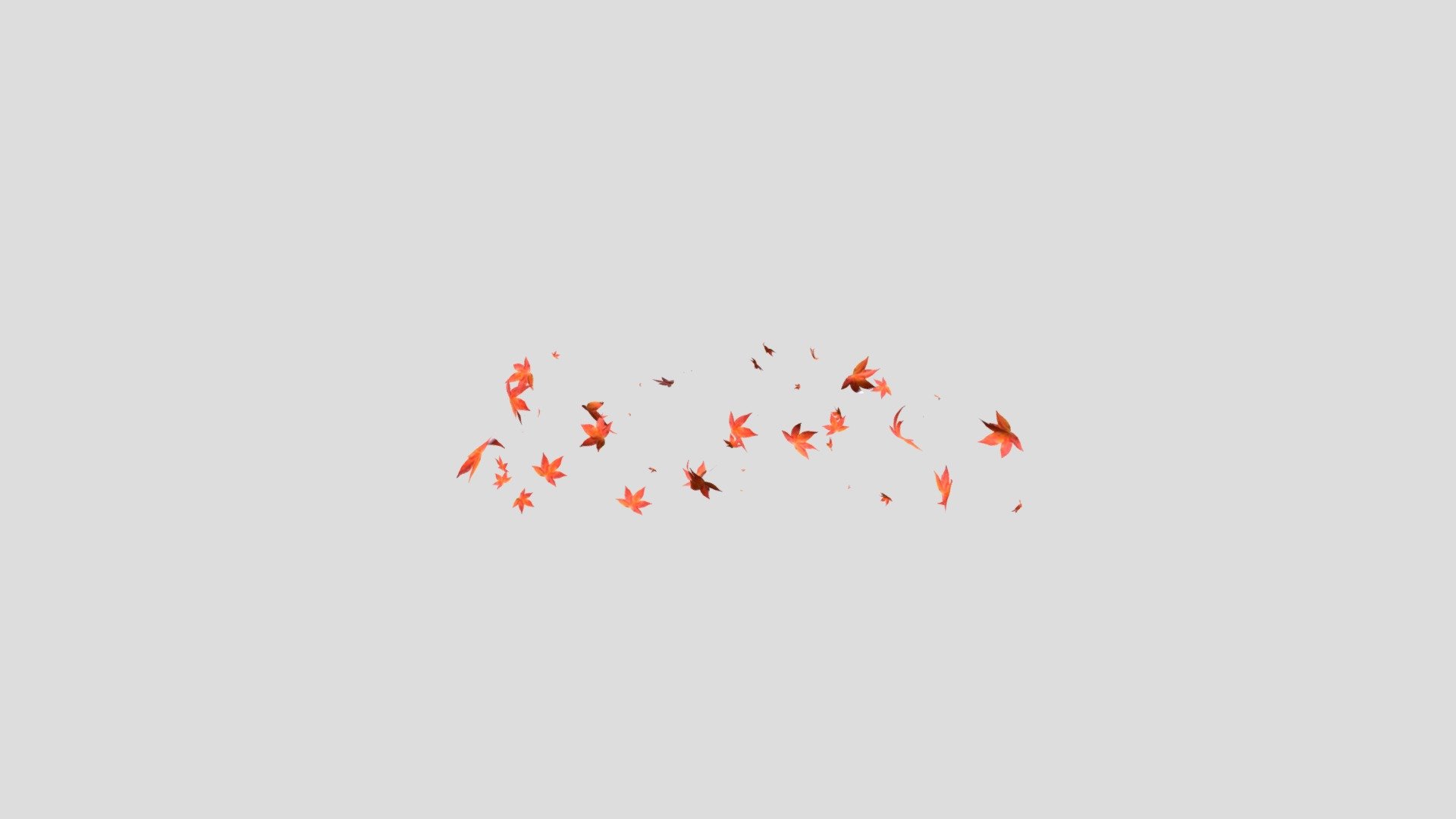 Flying autumn leaves 3d model