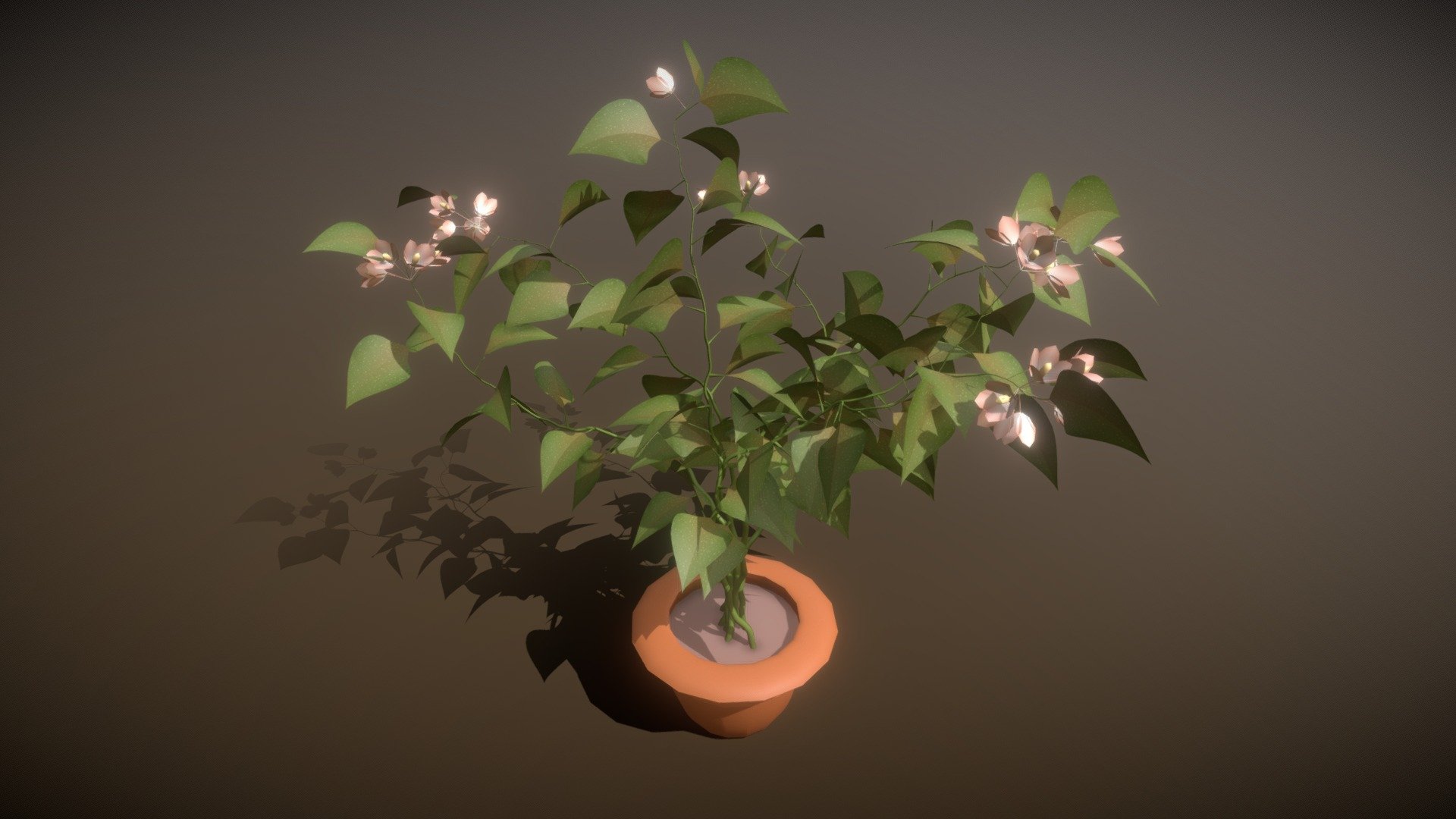 Begonia 3d model