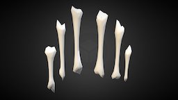 Low Poly Bones