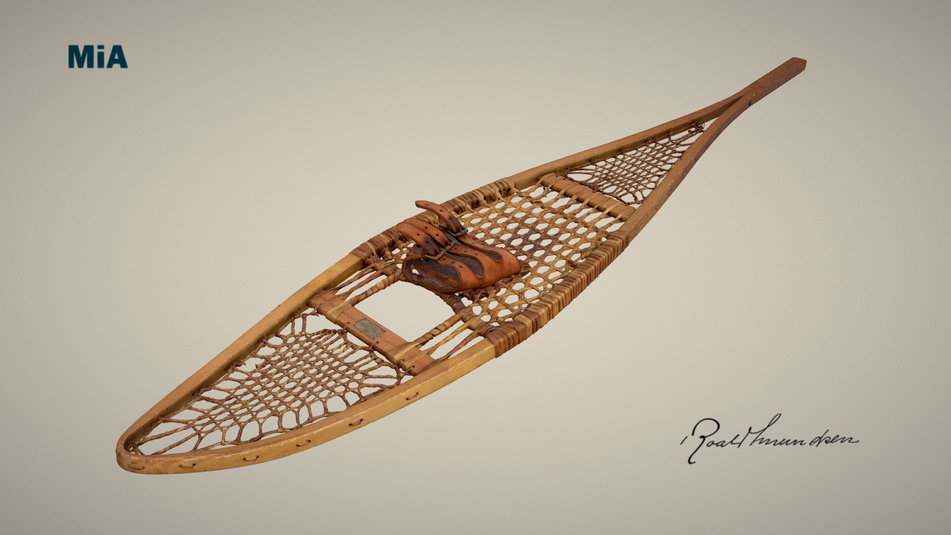 Truger / Snowshoes 3d model