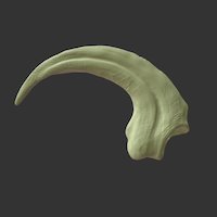 Velociraptor Claw