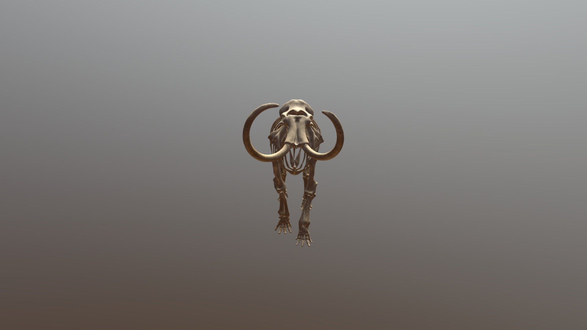 Mammoth Skeleton Animated 3d model