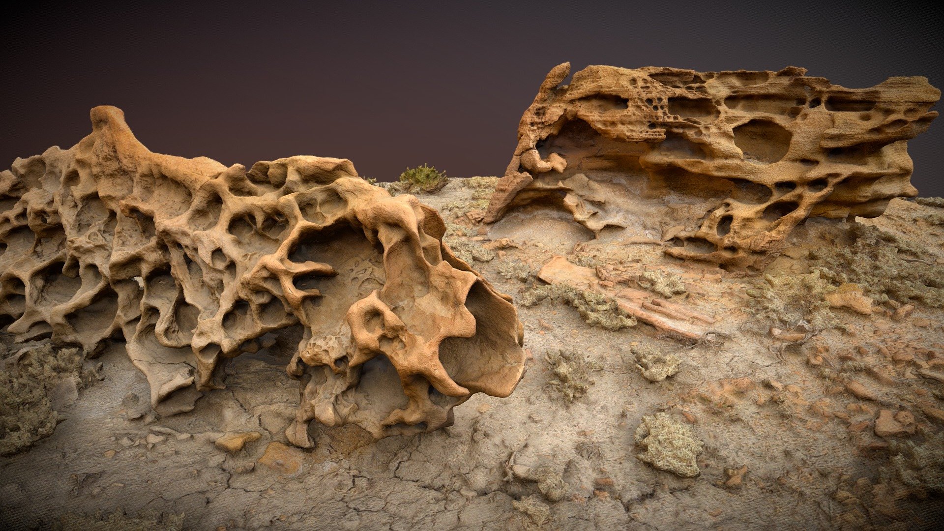 Millers Cows (Heavily Eroded Sandstone) 3d model