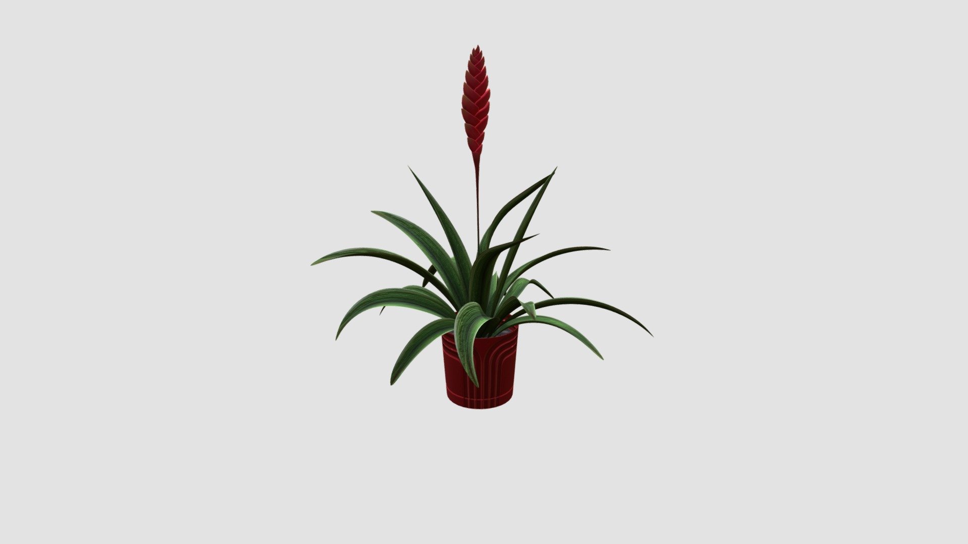 Plant 3d model